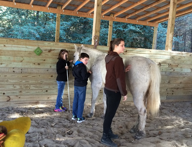 Tweens and teens at the 2015 Convention enjoyed grooming and riding horses.